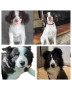 Custom stuffed animals(Pet custom handmade simulation doll plush toy)