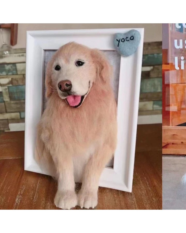 Custom Stuffed Pet Portrait
